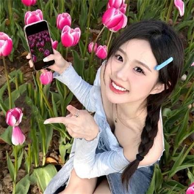网虫日记