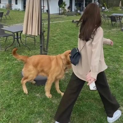 家有宝贝